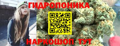 прущая мука Будённовск