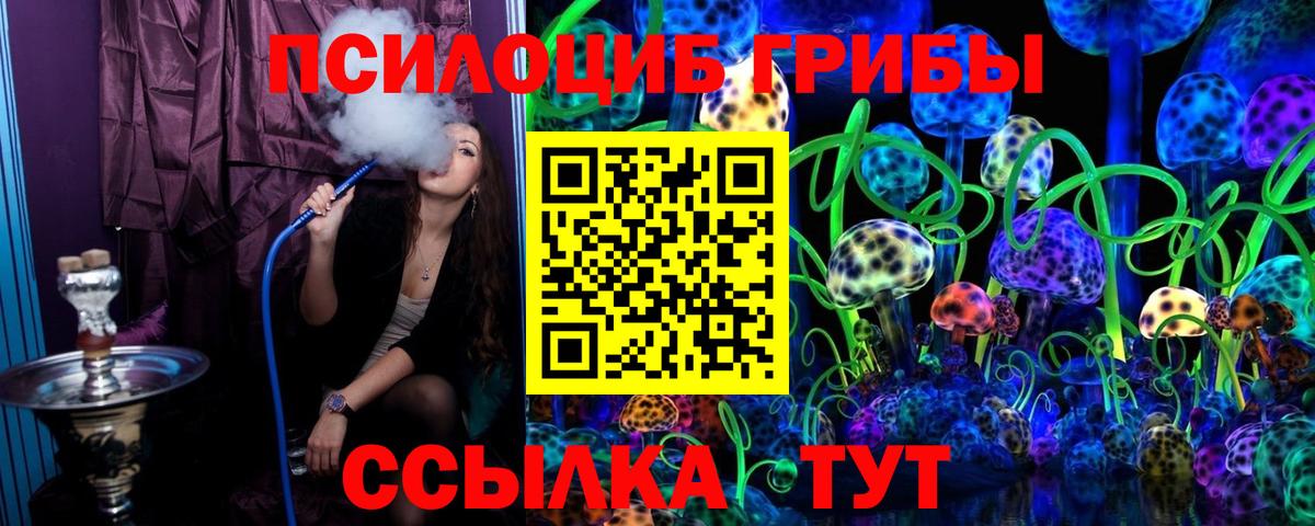 Галлюциногенные грибы Psilocybine cubensis Комсомольск-на-Амуре