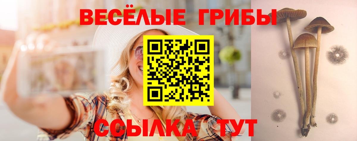 Комсомольск-на-Амуре  где купить   Вход с VPN  Псилоцибиновые грибы ЛСД 